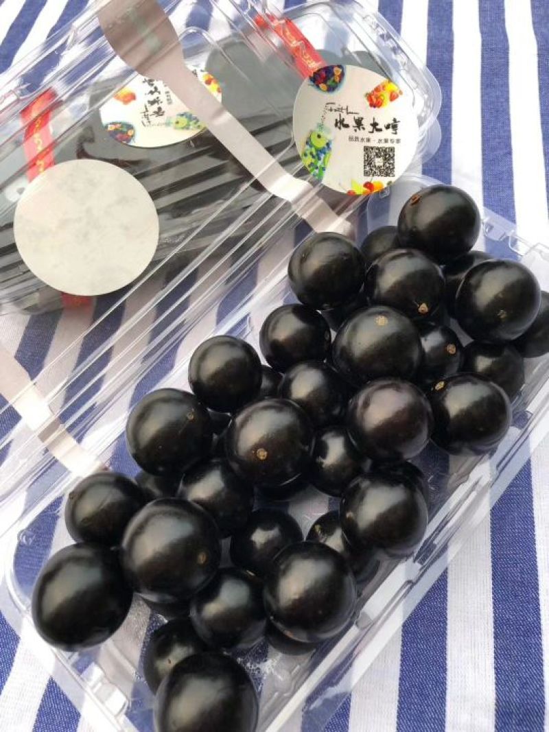 嘉宝果10~12g