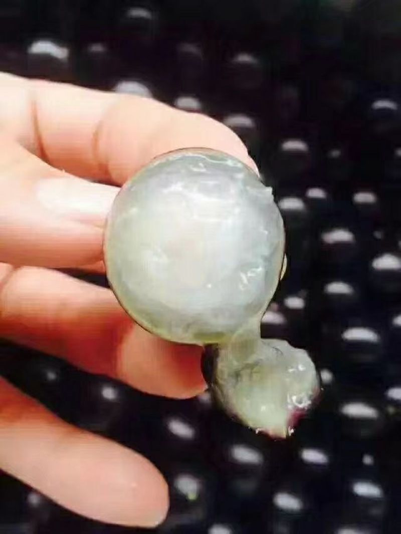 嘉宝果10~12g