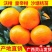沃柑苗30~50cm