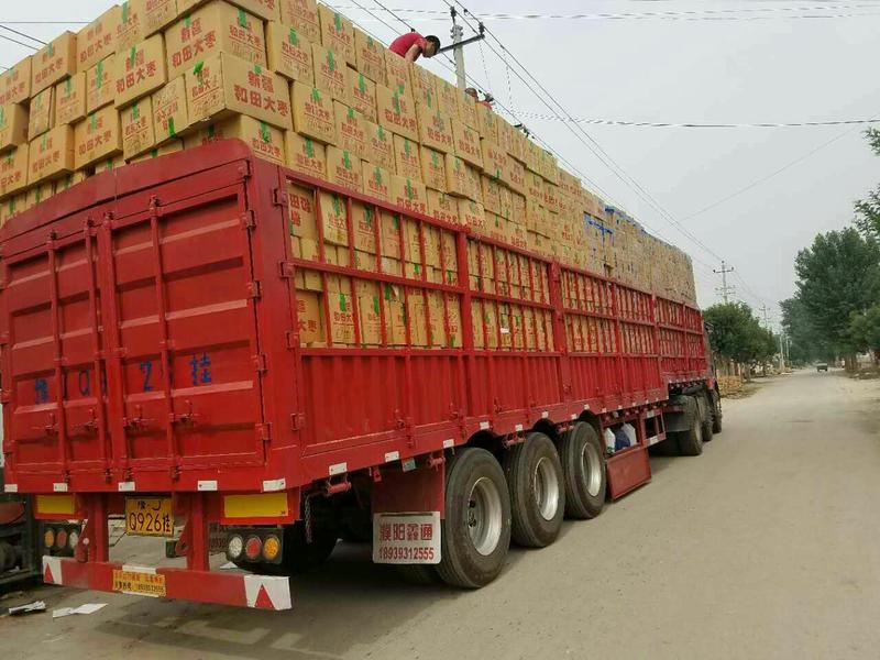电商团购多多直供新疆和田红枣可按要求包装袋装