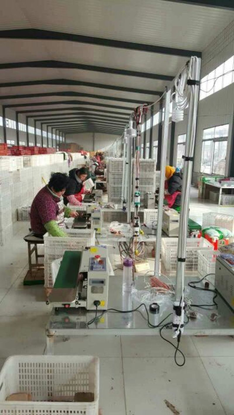 灰枣精品若羌灰枣厂家加工批发真实报价