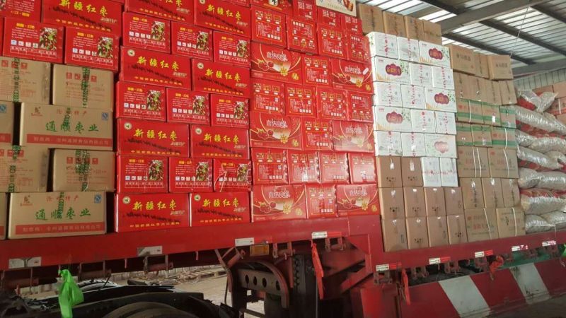 电商平台直供灰枣精品新疆若羌红枣厂家直供量大从优