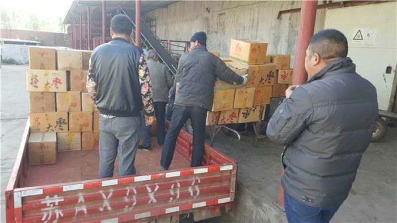 新疆和田大枣销量大利率高厂家加工厂直供一手货源