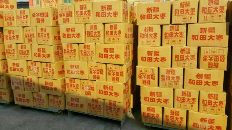 新疆和田大枣销量大利率高厂家加工厂直供一手货源