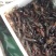 克氏原螯虾小龙虾主养3-5钱（15-25克）食用活虾