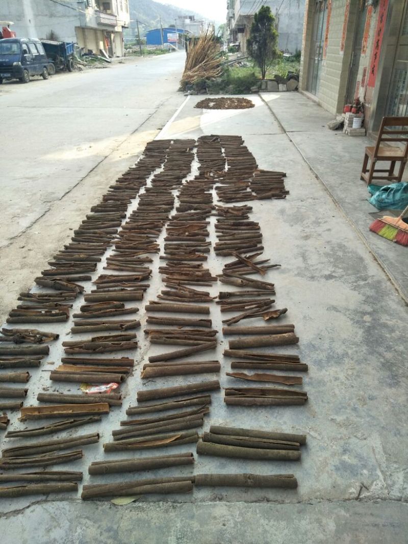 桂皮散装一级