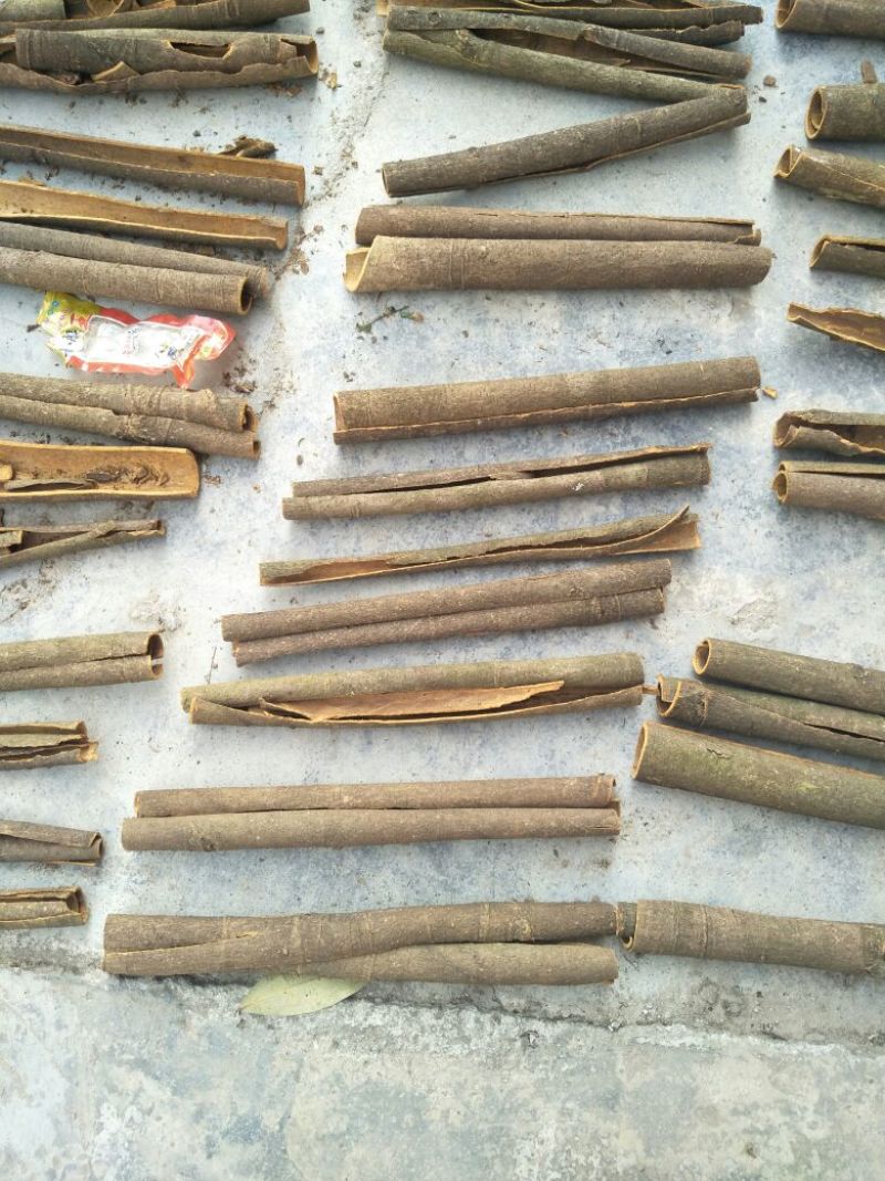 桂皮散装一级