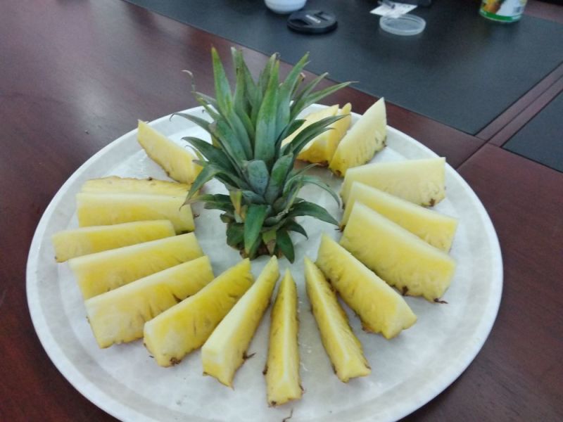 台农16甜蜜蜜凤梨金钻菠萝芒果凤梨基地直供