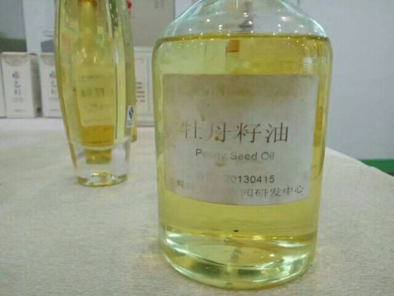 油牡丹苗10~20cm