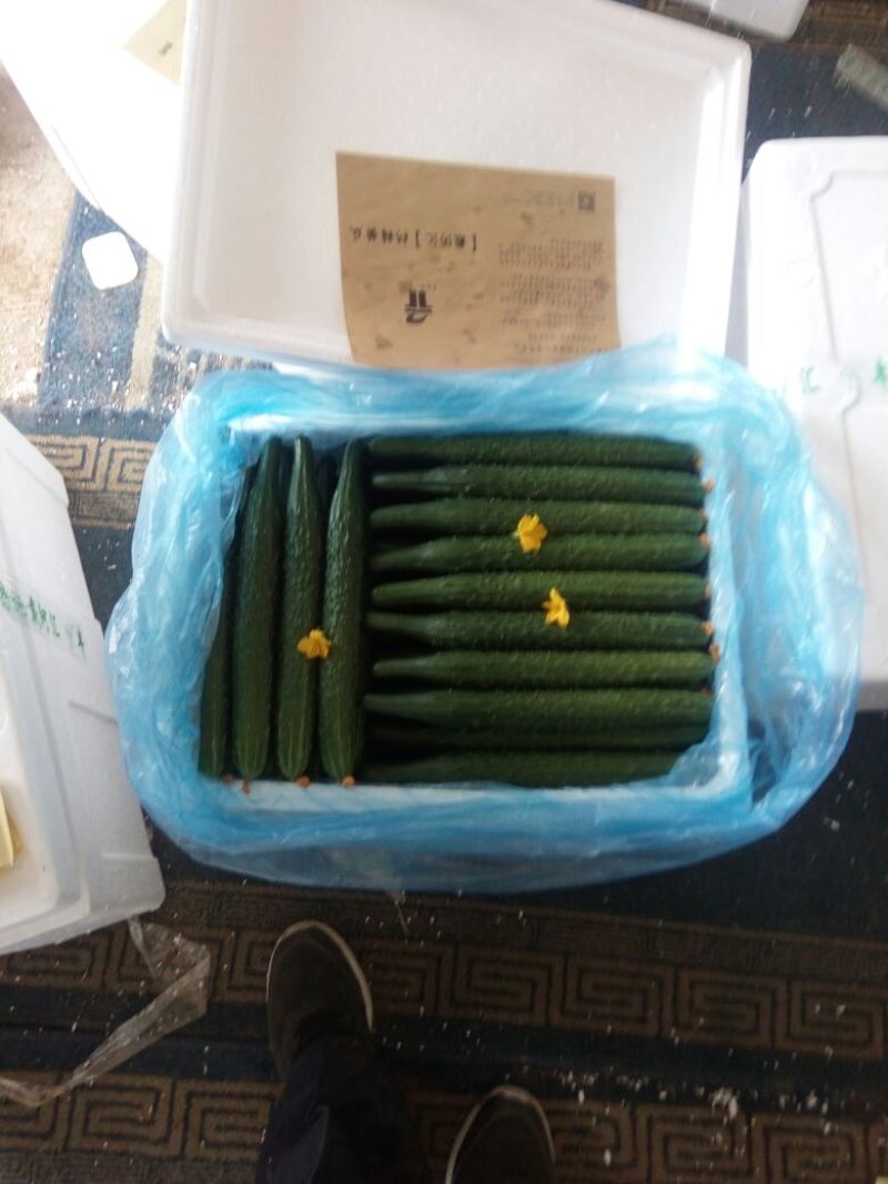 密刺黄瓜25公分以上干花带刺