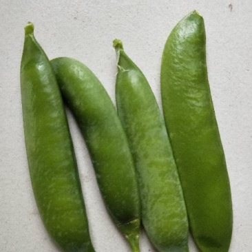甜脆豌豆饱满