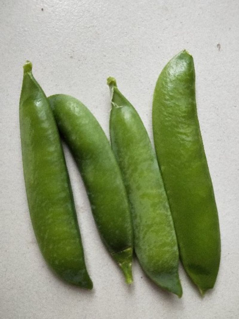 甜脆豌豆饱满