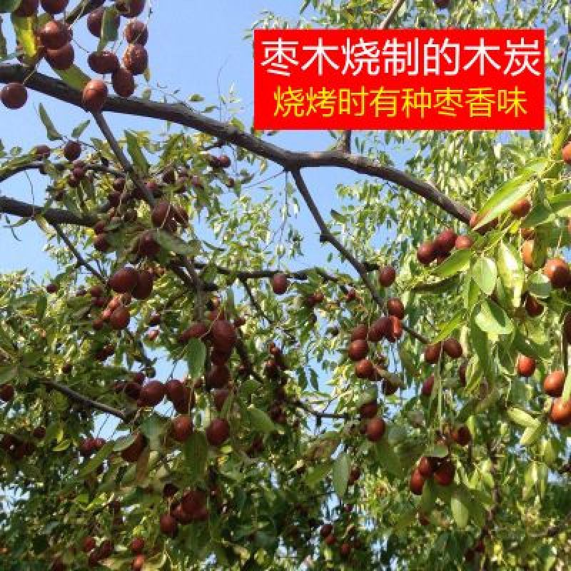木炭95%以上烧烤炭