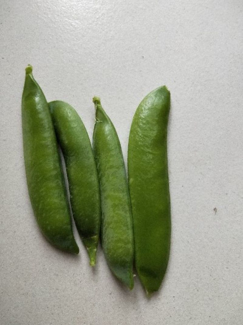 甜脆豌豆饱满