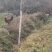 【基地直供】纯粮食林下散养“陇桥绿源”牌土鸡欢迎来电咨询