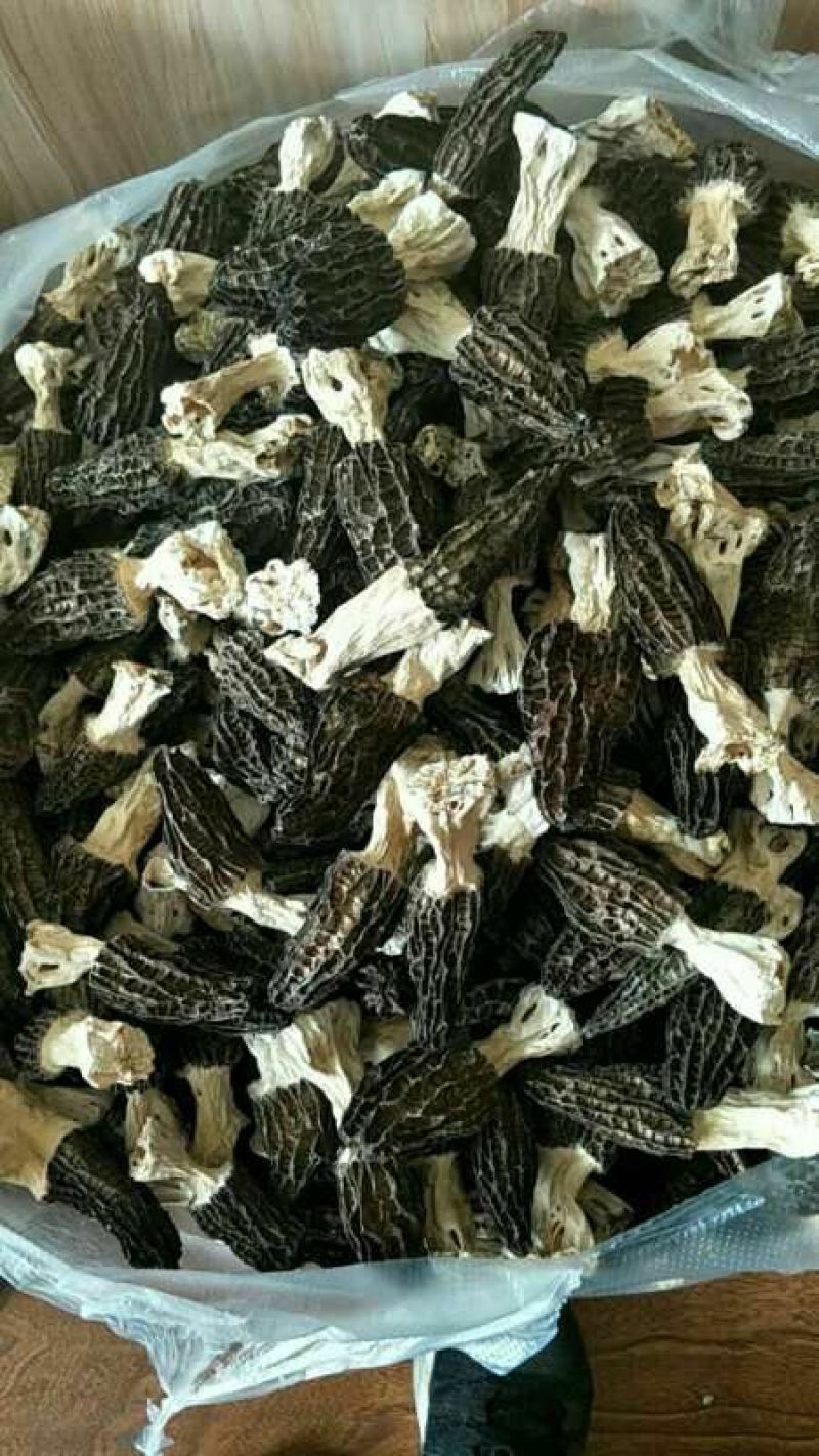 羊肚菌特级