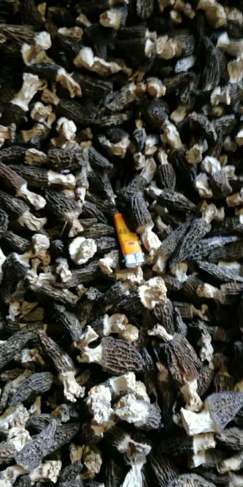 羊肚菌特级