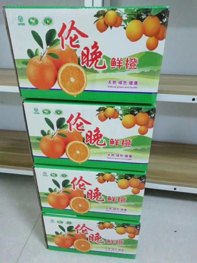 湖北脐橙产地热卖秭归脐橙长虹橙子纽荷尔中华红血橙伦晚脐橙