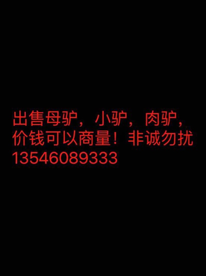 三粉驴500斤以上