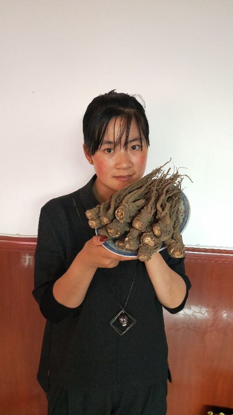 甘肃岷县小当归全是批发价