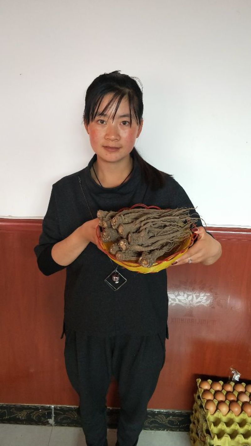 甘肃岷县小当归全是批发价