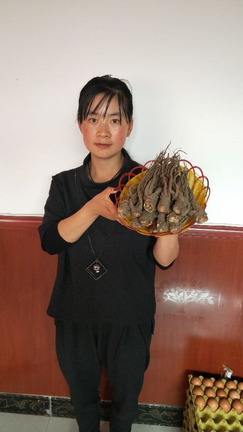 甘肃岷县小当归全是批发价
