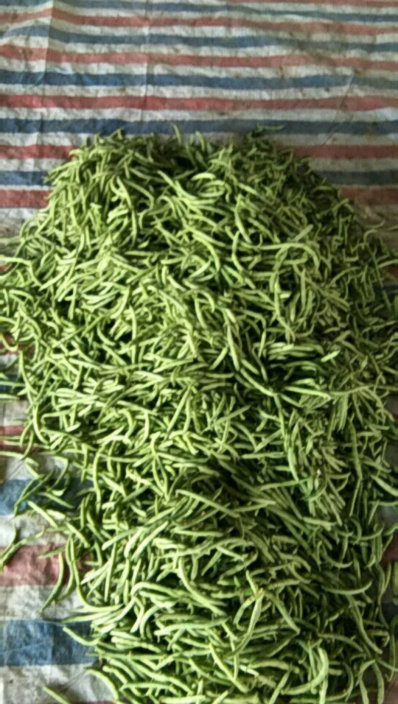 四季豆10~15cm，可视频看货，量大从优，全国代发。