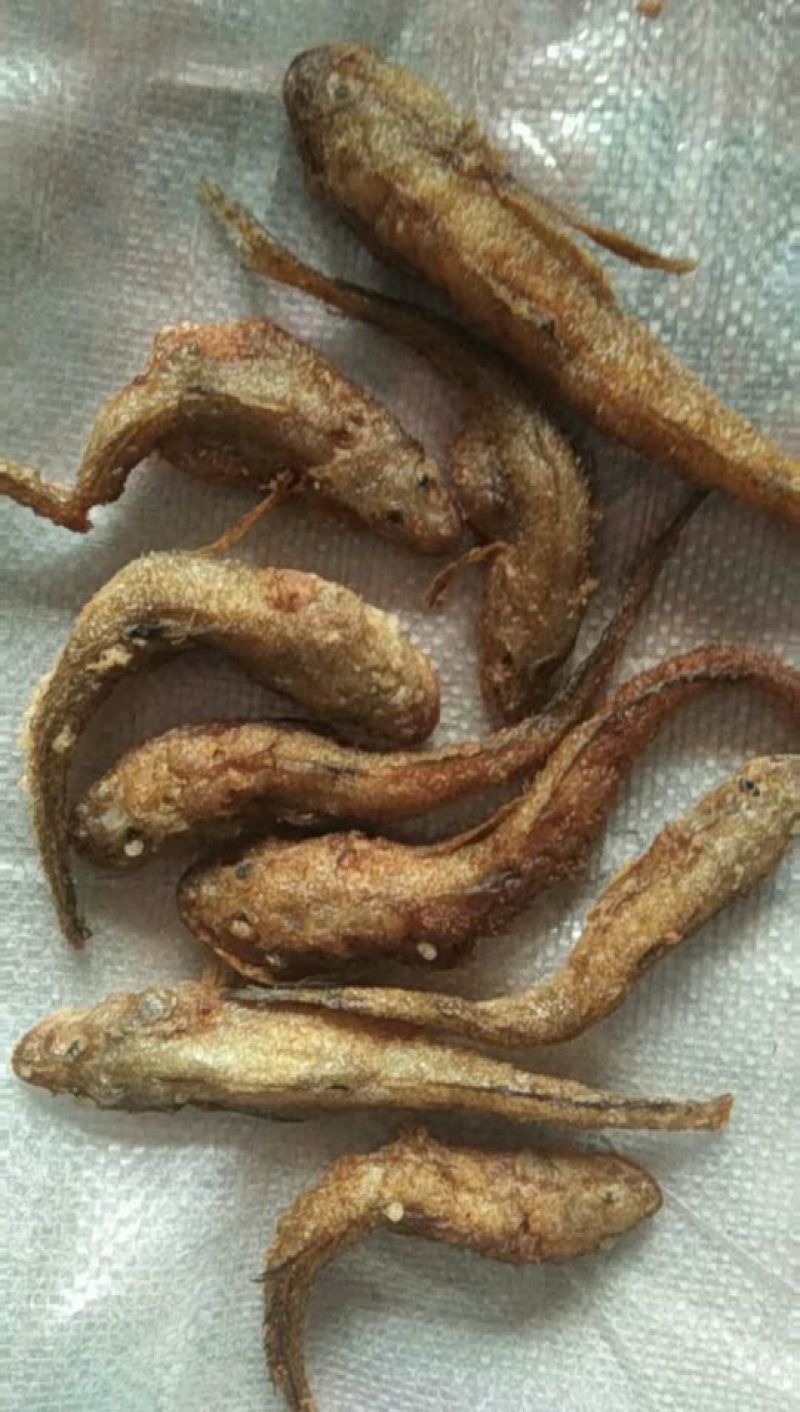鱼干炸鱼干