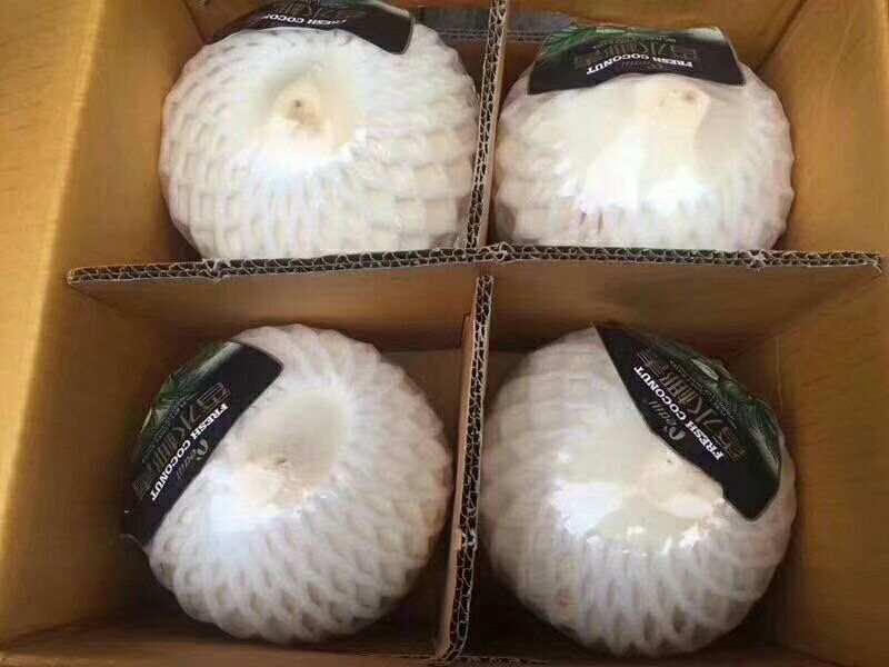 椰青9个装礼盒