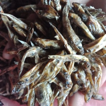 河汊小干鱼日晒鱼干