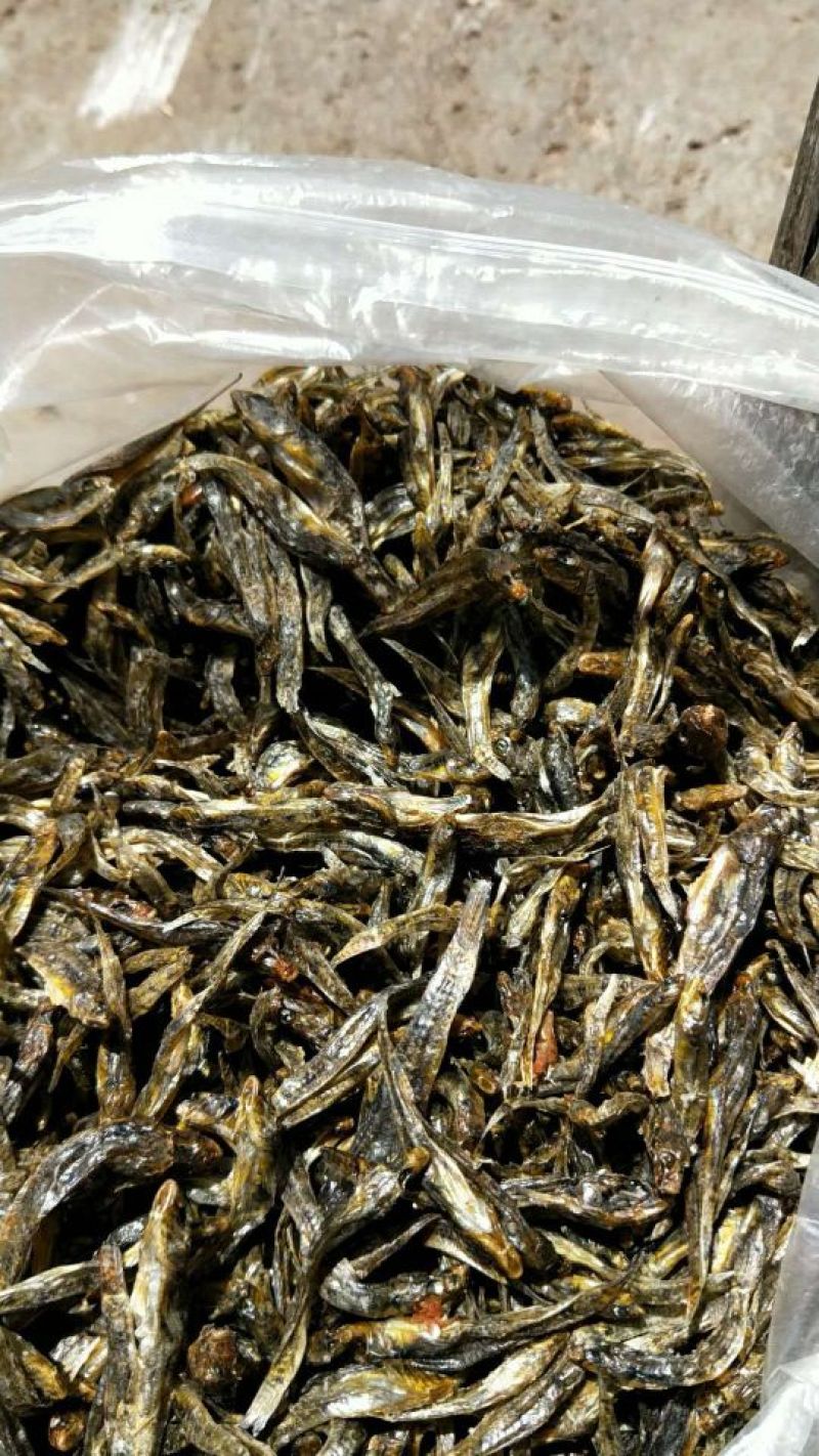 河汊小干鱼日晒鱼干