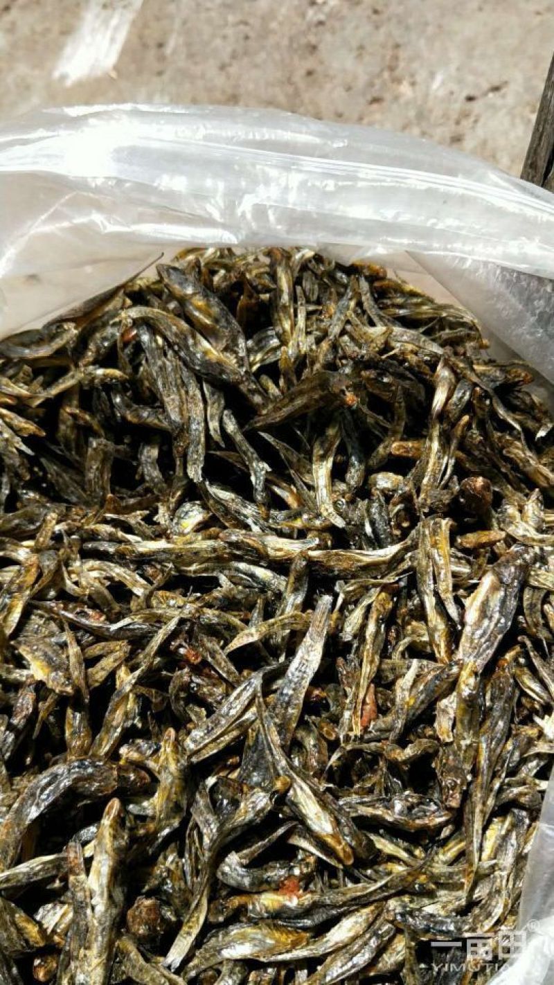 河汊小干鱼日晒鱼干