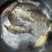 鲫鱼食用