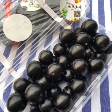 嘉宝果10~12g