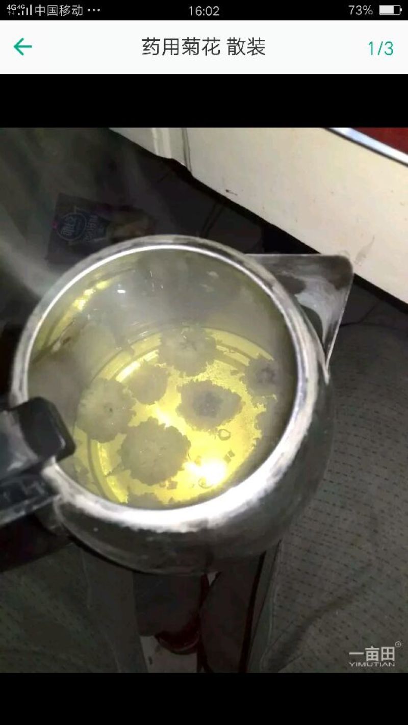 药用菊花散装