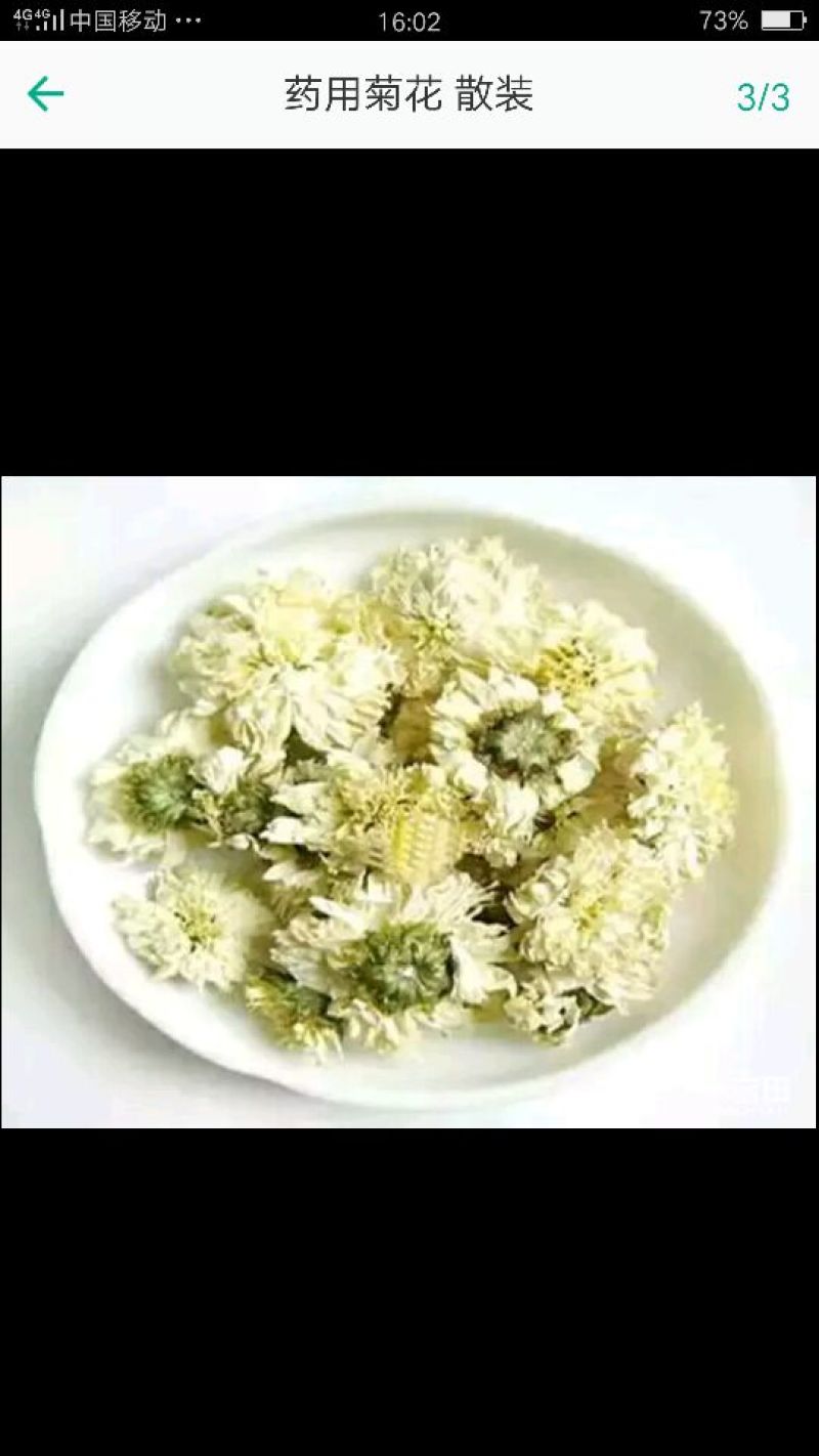 药用菊花散装