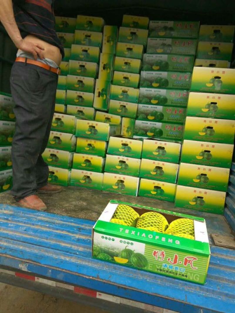 特小凤西瓜3斤打底9成熟1茬