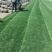 四季青草坪量大从优厂家直销