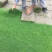 四季青草坪量大从优厂家直销