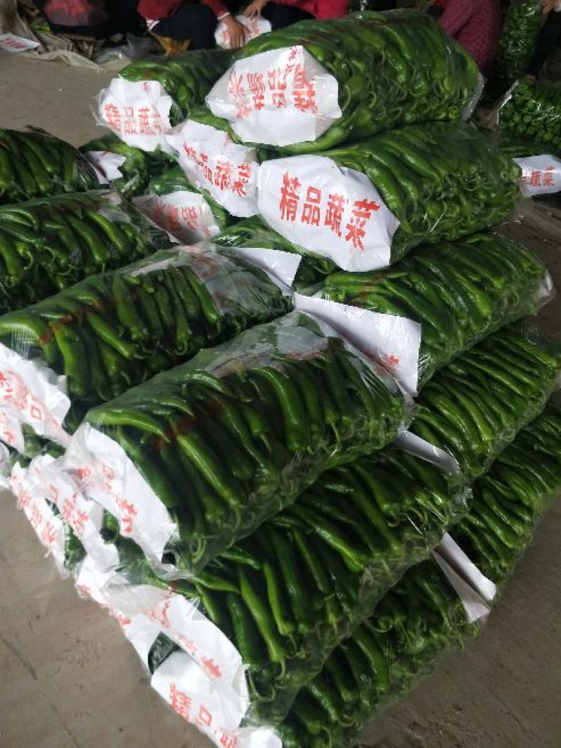 牛角椒15~20厘米青微辣