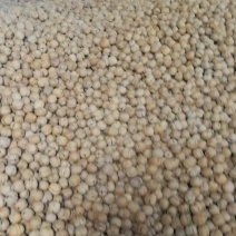 薄皮核桃25~30mm去皮干