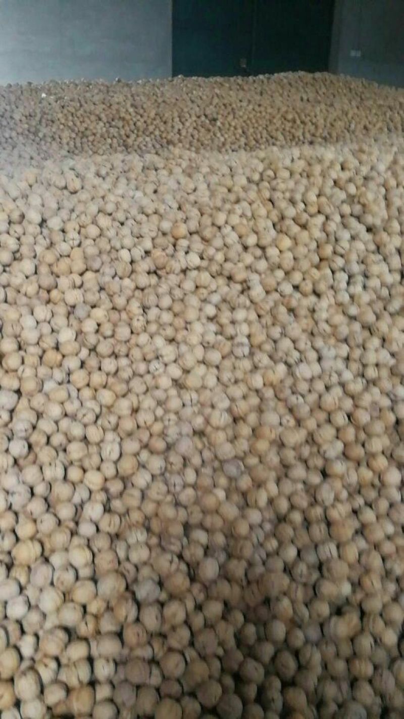 薄皮核桃25~30mm去皮干