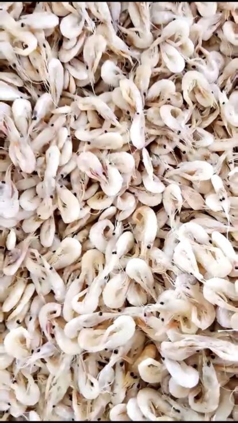 虾皮特级