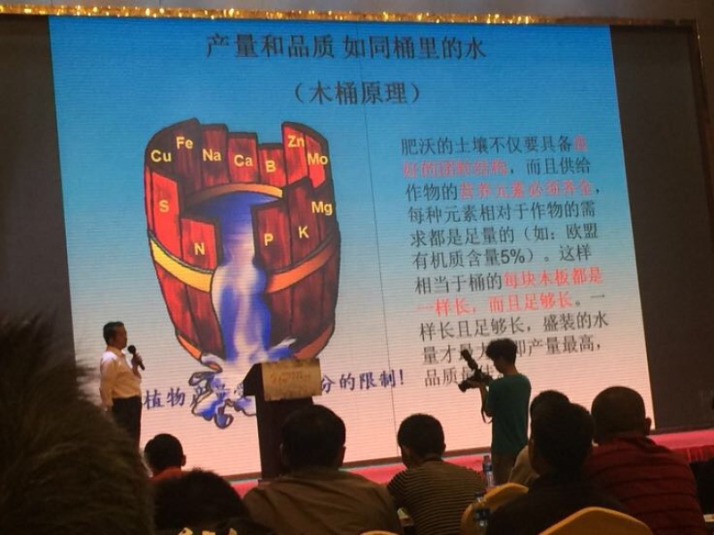 柚子1.8斤以上