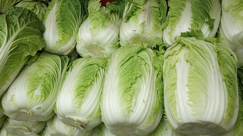 【山东临沂】黄心白菜，质优价廉，货源充足稳定，大量上市中
