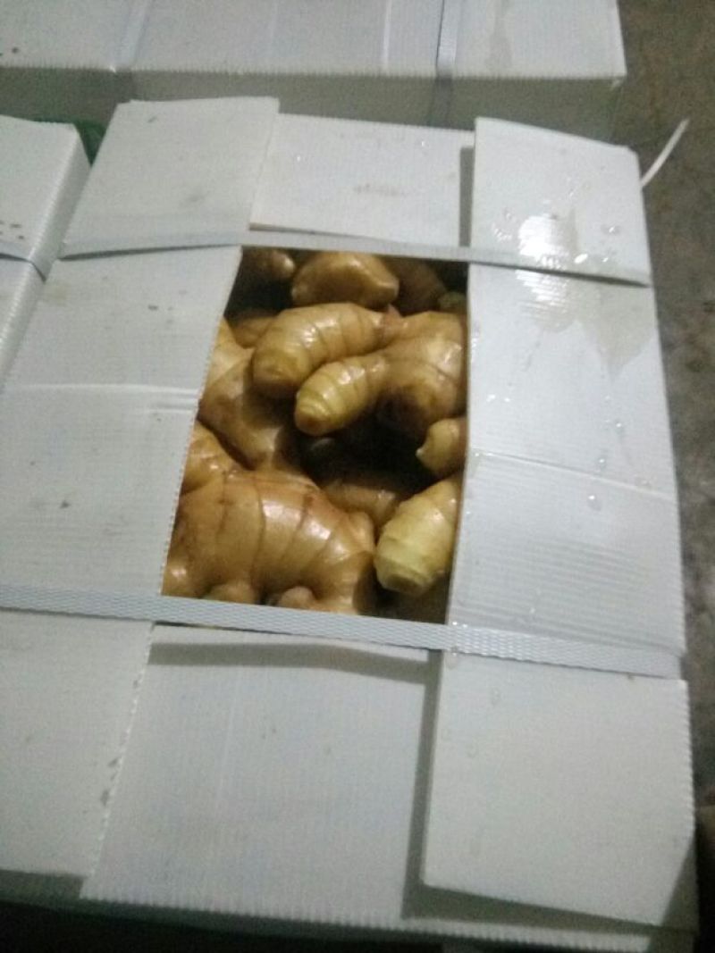 山东大黄姜！鲜姜全国发货！专业供销！欢迎咨询