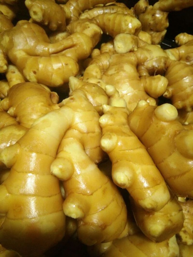 山东生姜产地直供！常年能大量供应！欢迎咨询