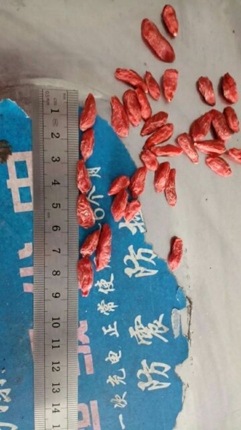 枸杞子宁夏枸杞500g正宗宁夏免洗中大颗粒纪枸杞红苟杞干