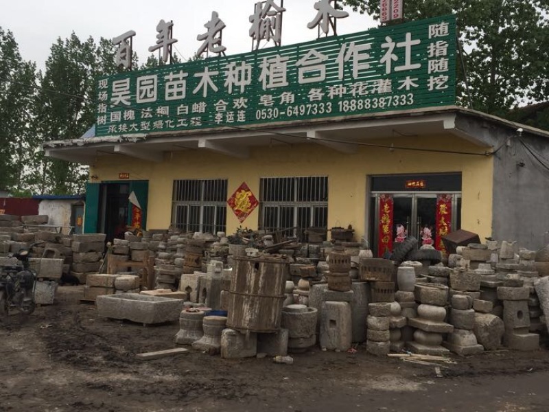 上水石老牛槽效果图