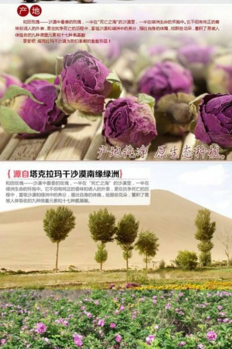 野生玫瑰，和田沙漠玫瑰花